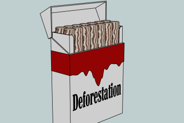 kuva tupakka-askista, jossa lukee deforestation.